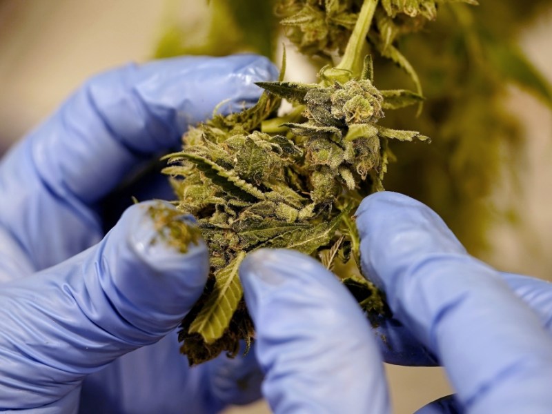 Maine issues another recall of cannabis products