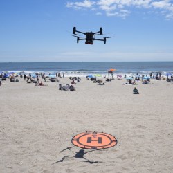 Drone Beach Bird Attacks