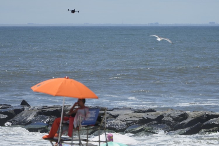 Drone Beach Bird Attacks