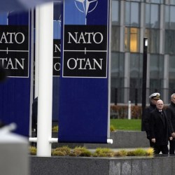 NATO Survey