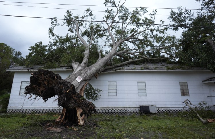 Pictures of the Week Global Photo Gallery