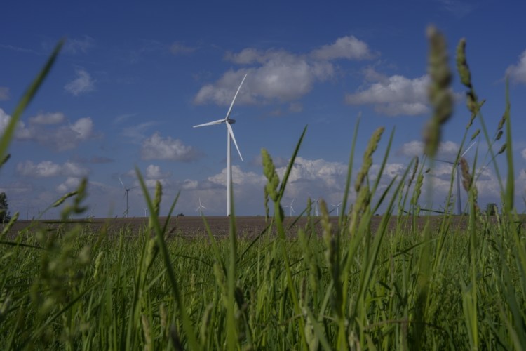 Wind Misinformation on Money