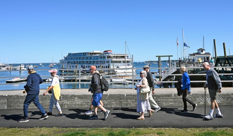 zuiderdam cruise ship size