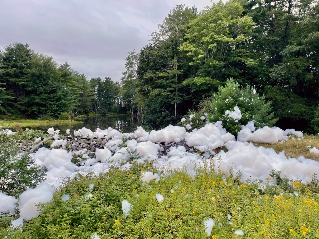 According to the CDC in the state of Maine, no fish from four freshwater bodies in Brunswick can be consumed