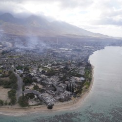 Hawaii Wildfire Settlement