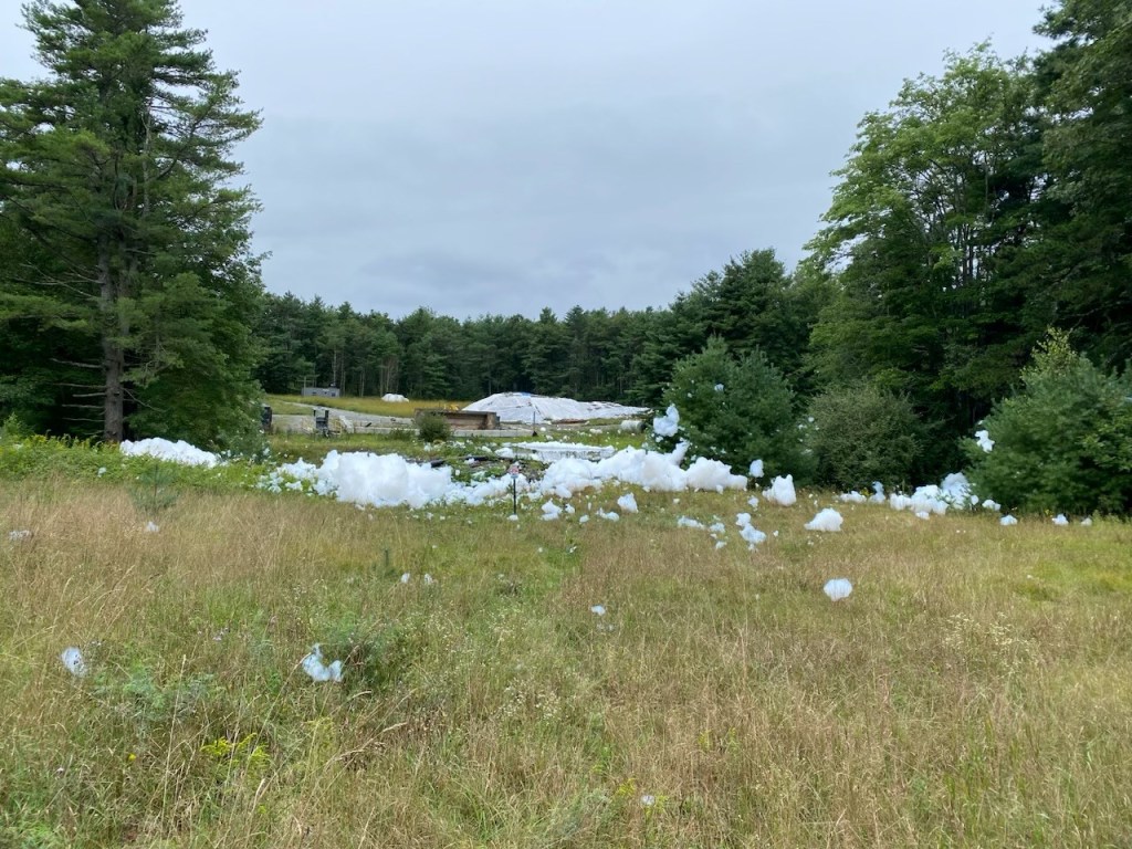 According to the CDC in the state of Maine, no fish from four freshwater bodies in Brunswick can be consumed