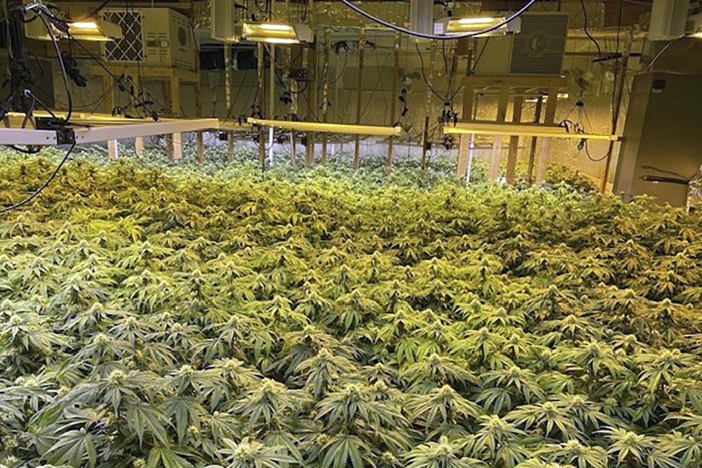 Illicit Marijuana Operations Utilities