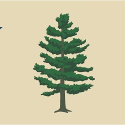 Maine Flag Referendum