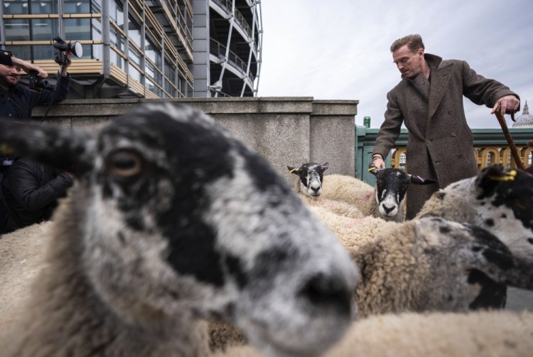 Britain Sheep Drive