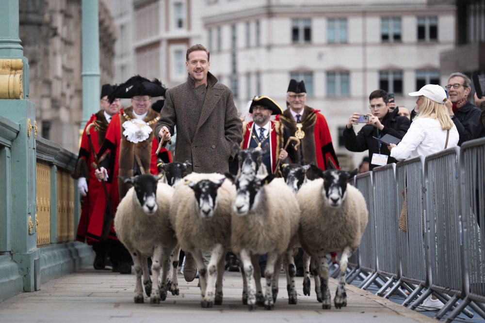 Britain Sheep Drive