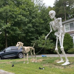 Halloween Superfans