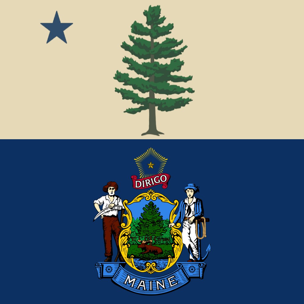 Voters decide the fate of Maine’s state flag and other ballot questions