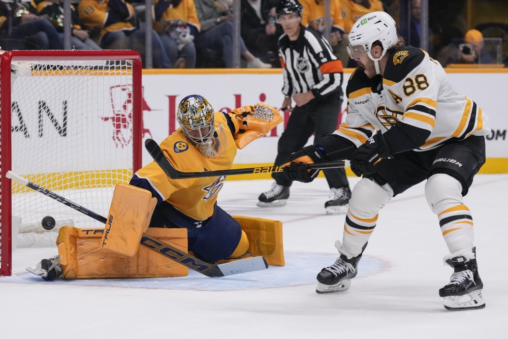Bruins Predators Hockey