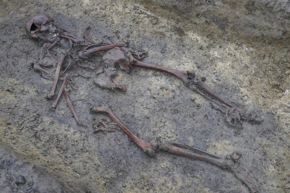Denmark Excavation
