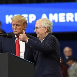 McConnell Biography