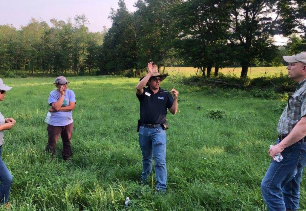 Learn more about dairy farming, forage management at 2024 Maine Pasture Walk Series