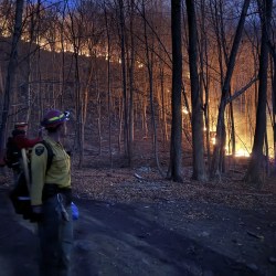 Wildfires