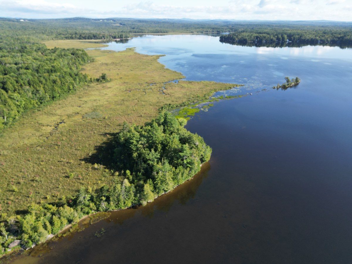 photo of Black Point