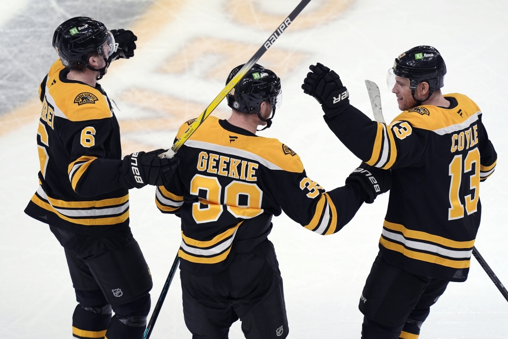 Sabres Bruins Hockey