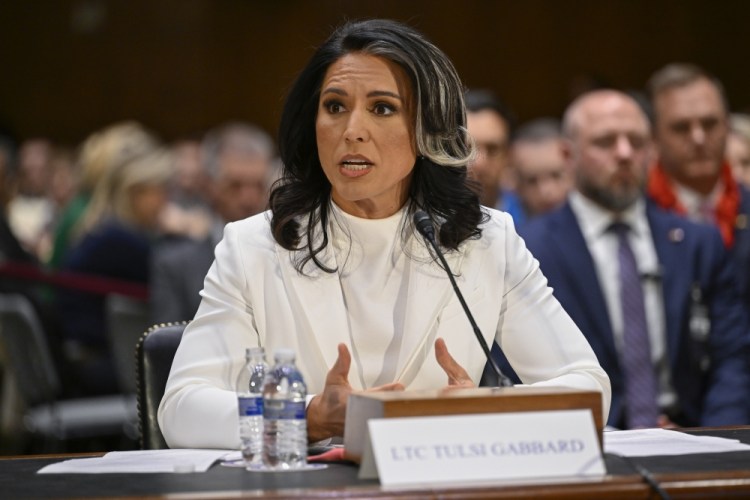 Trump Cabinet Gabbard