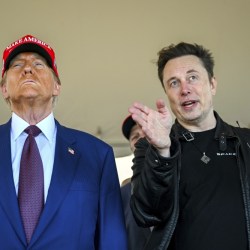 Trump Musk