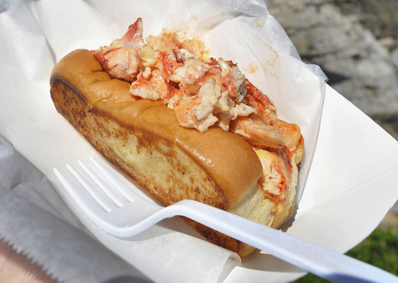 bite-into-maine