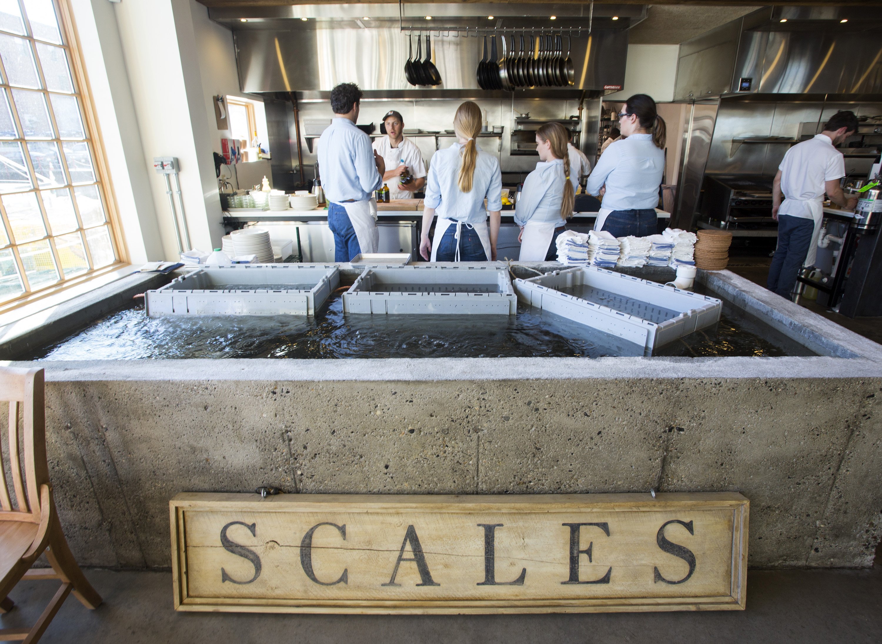 Scales