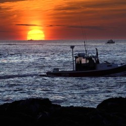 Ocean Warming-New England