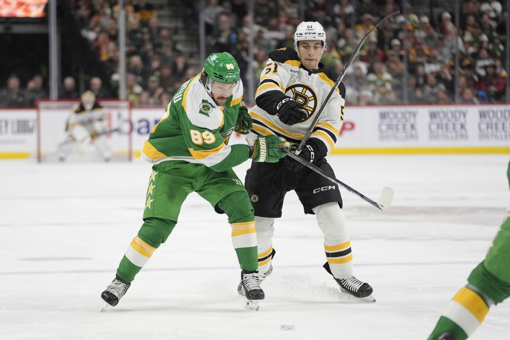Bruins Wild Hockey