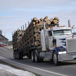 Trump Tariffs Lumber