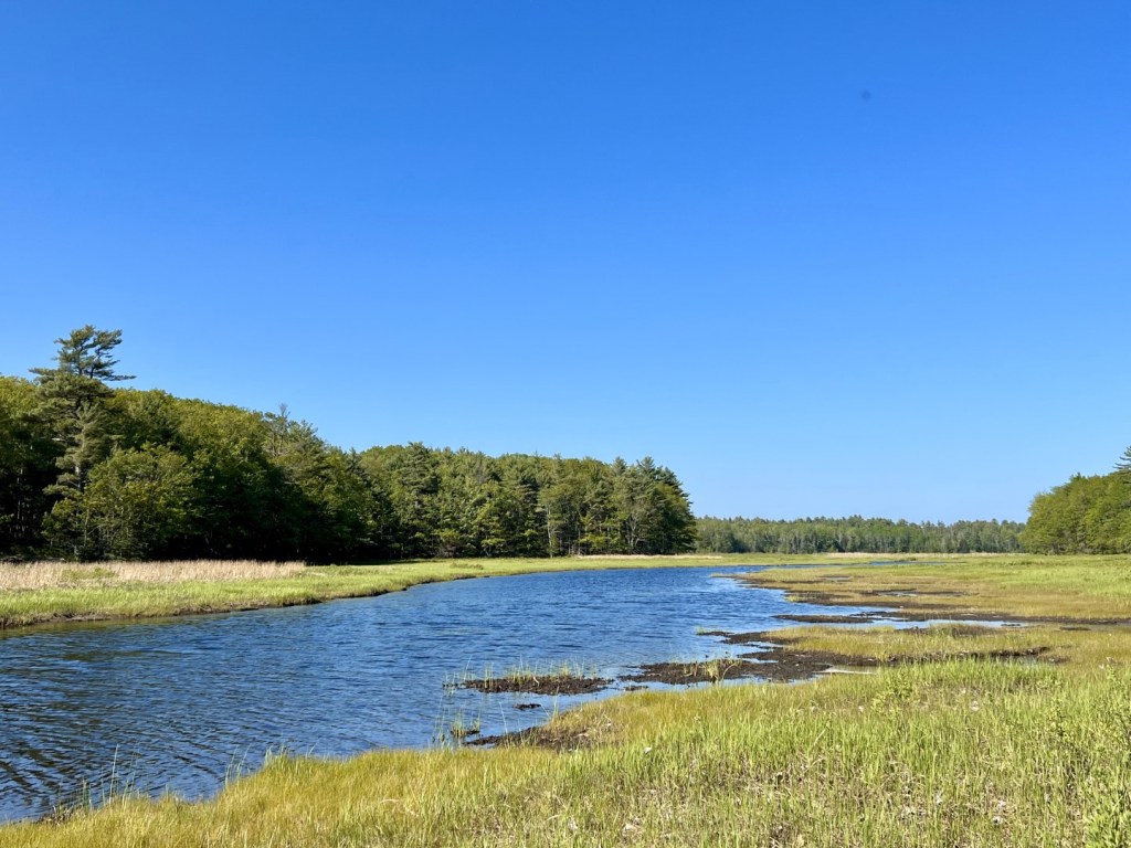 Bank’s donation boosts Midcoast conservation efforts