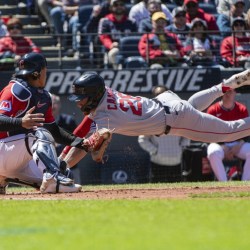 Red Sox Guardians Baseball