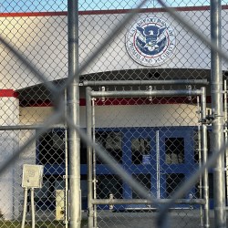 US Campus Protest Immigration Arrest