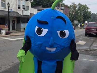 Wilton Blueberry Festival to begin Friday, ending Saturday with fireworks over Wilson Pond