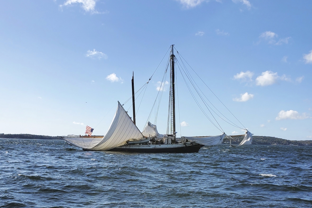 Rockland schooner's mast had rotted before fatal snap, Coast Guard finds