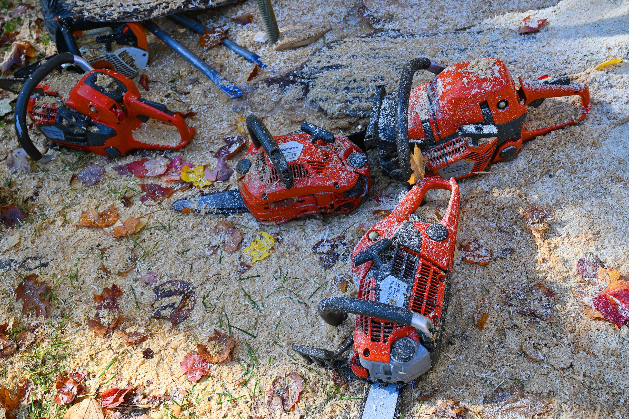 Chainsaw artist breathes new life into South Portland tree stump