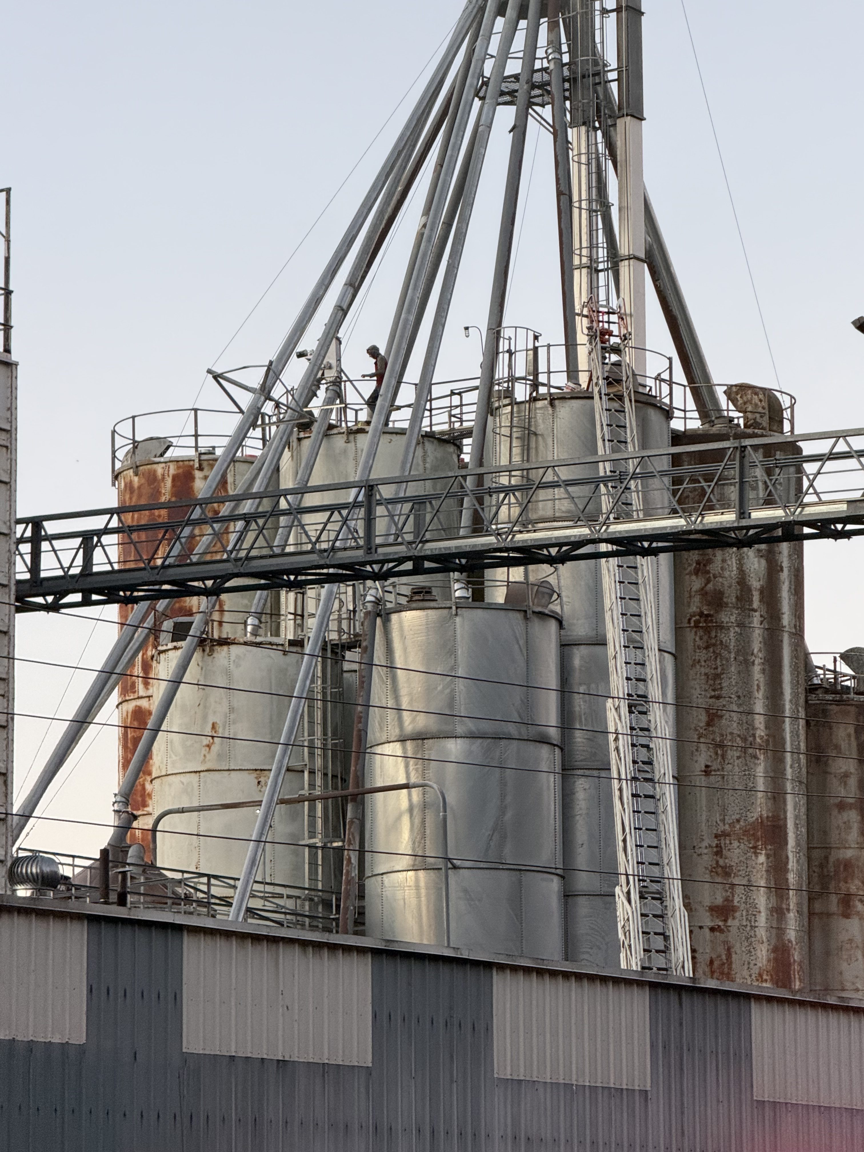 Fire in Augusta feed silo extinguished