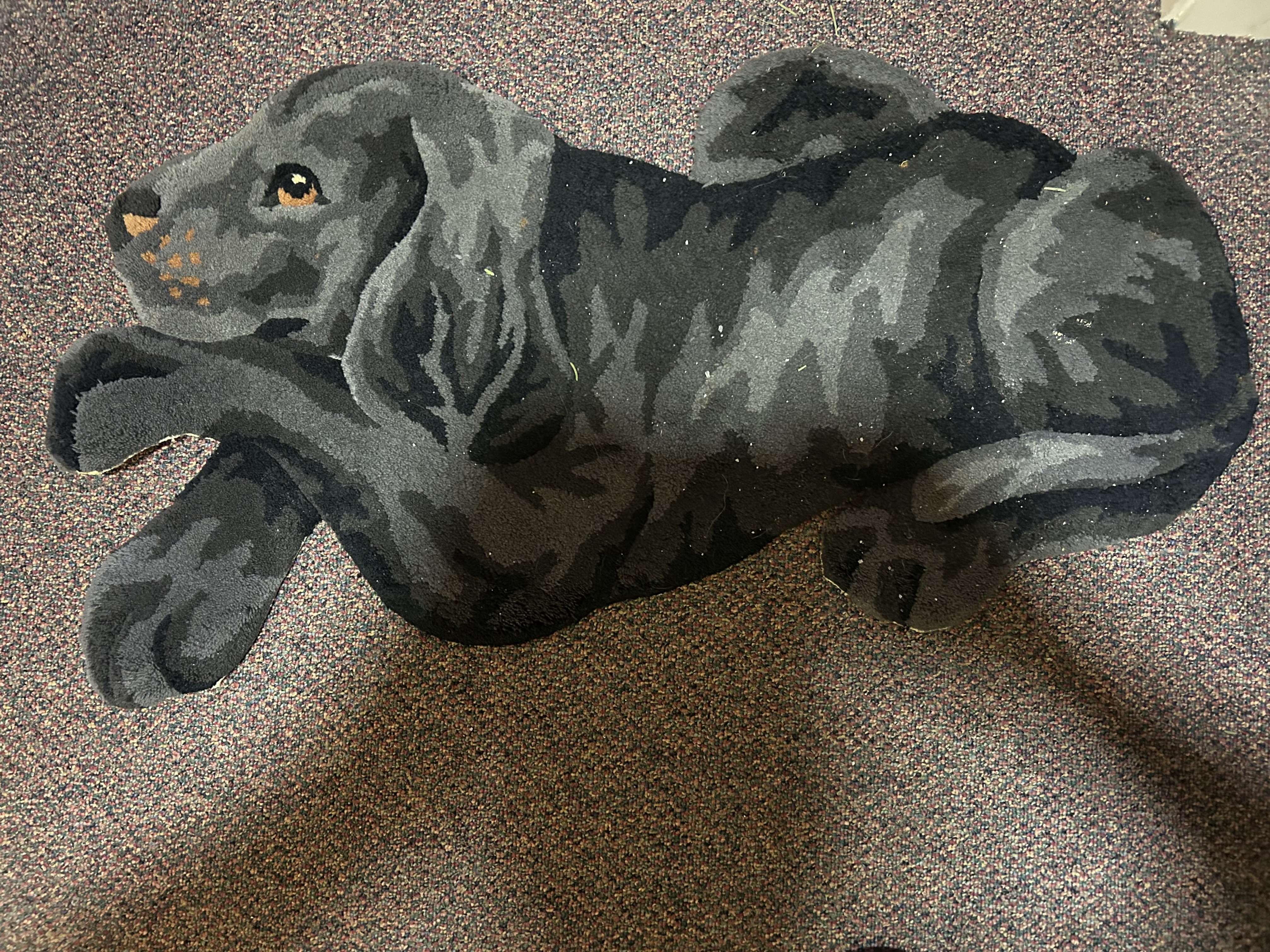 Going to the dogs is a good thing for seniors