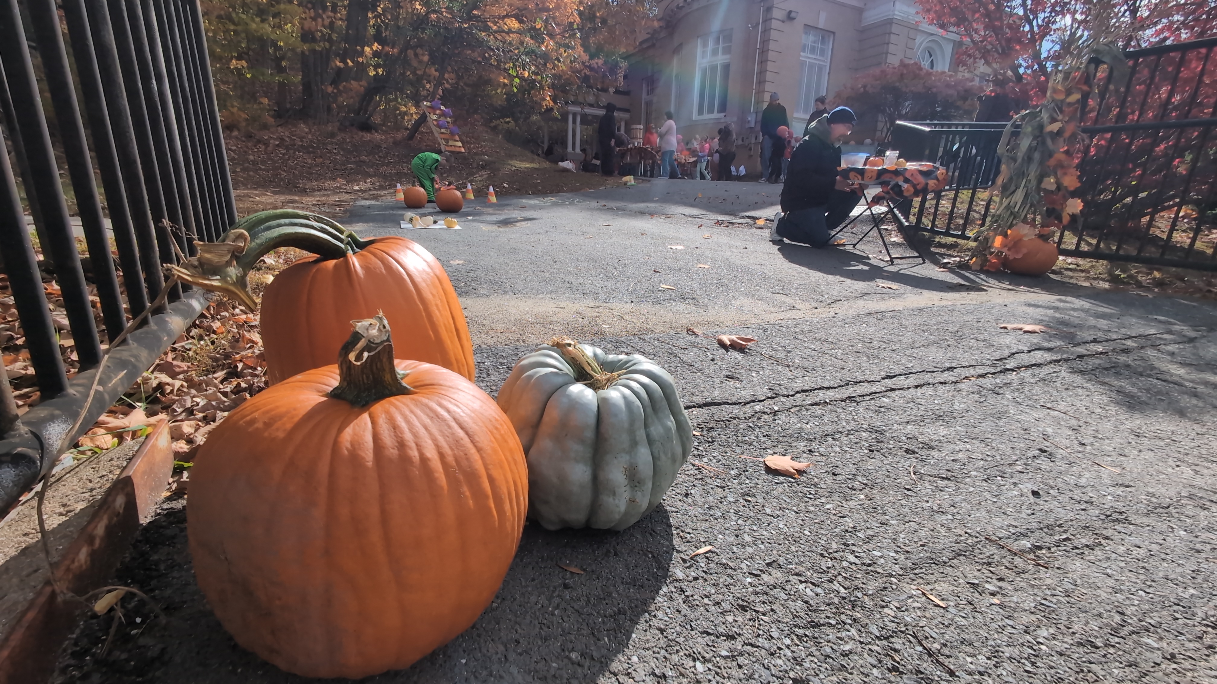 Cider, costumes and fall fun at Wilton library’s Harvest Day