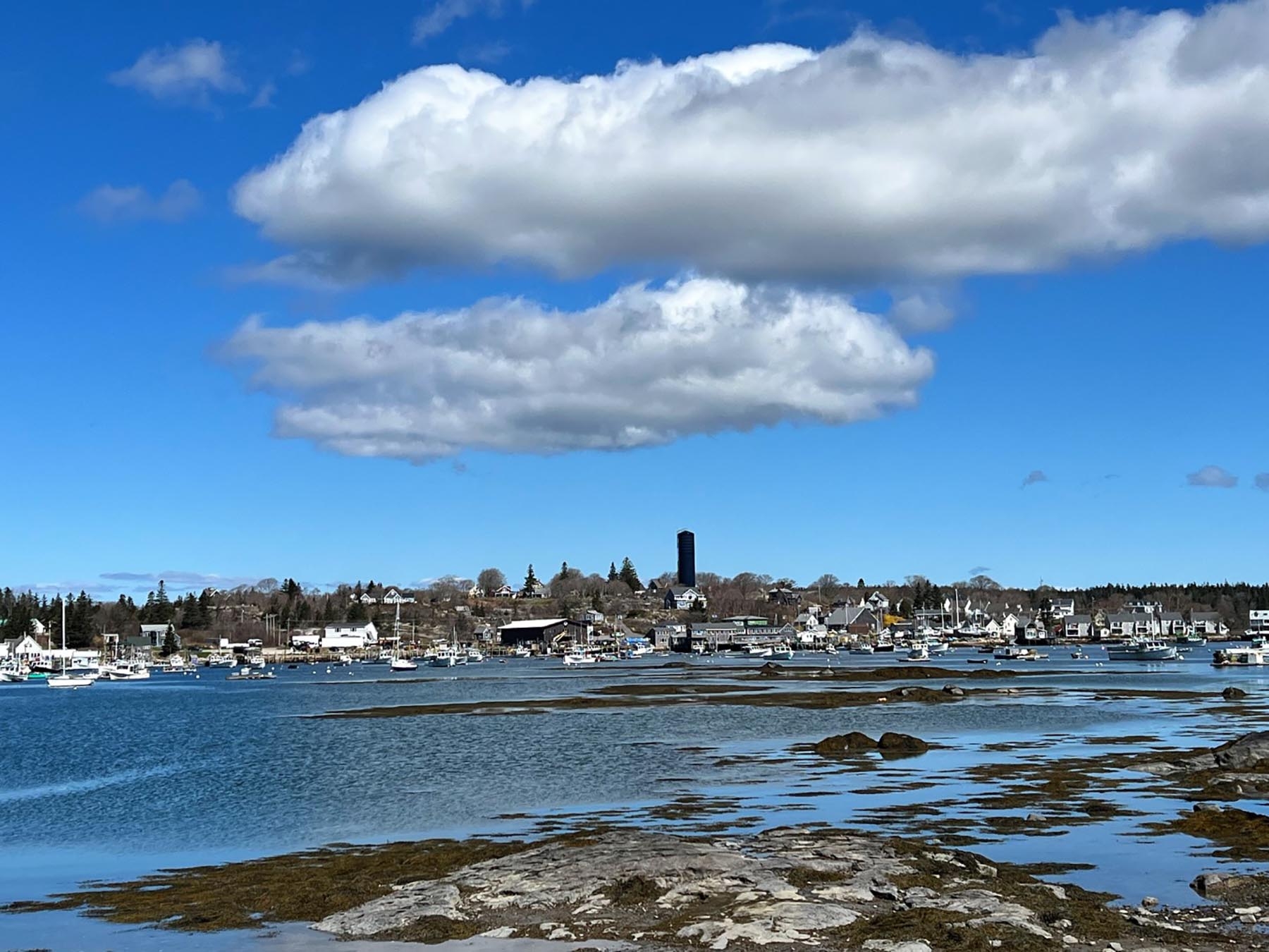 Hiking in Maine Vinalhaven offers 30 miles of trails just off the coast