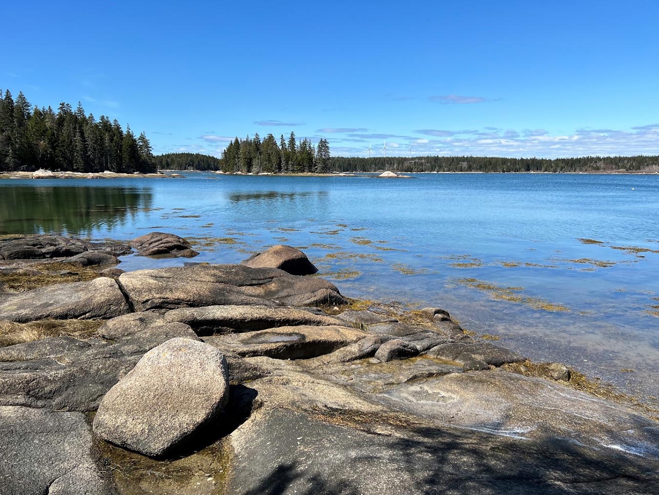 Hiking in Maine Vinalhaven offers 30 miles of trails just off the coast