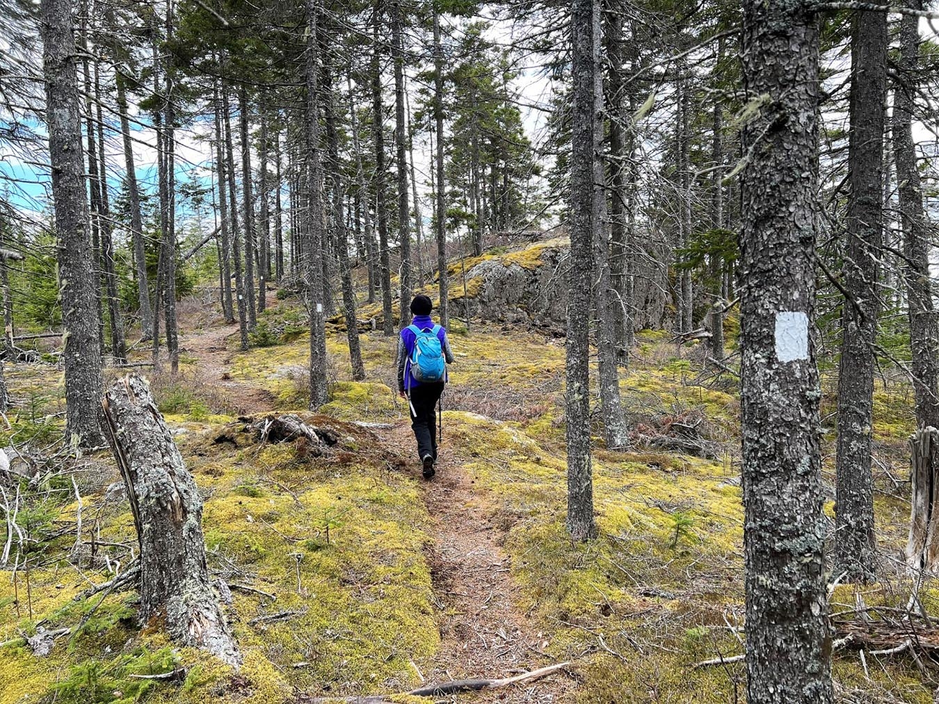 Hiking in Maine Vinalhaven offers 30 miles of trails just off the coast