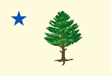 New Maine State Flag Design Unveiled 