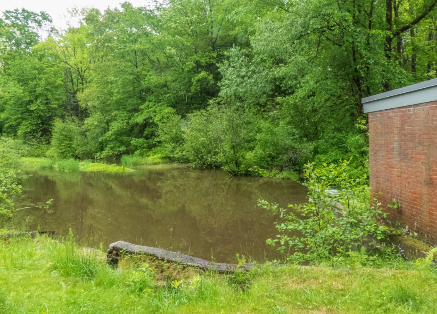 Freeport Conservation Trust announces removal of 3 dams hampering Frost