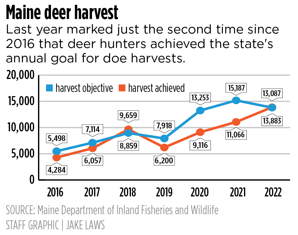 Deer harvest data show promising results for Maine’s new antlerless permit