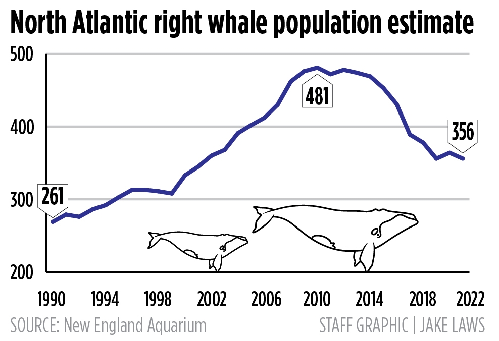 Right whale population levels off after steep decline, but threats remain